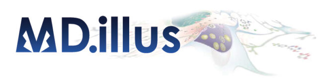 MD.illusのロゴ